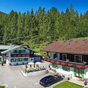 Berganemone , Schönau am Königssee Duitsland